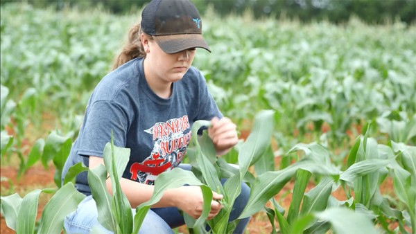 tips-to-establish-your-sae-national-ffa-organization