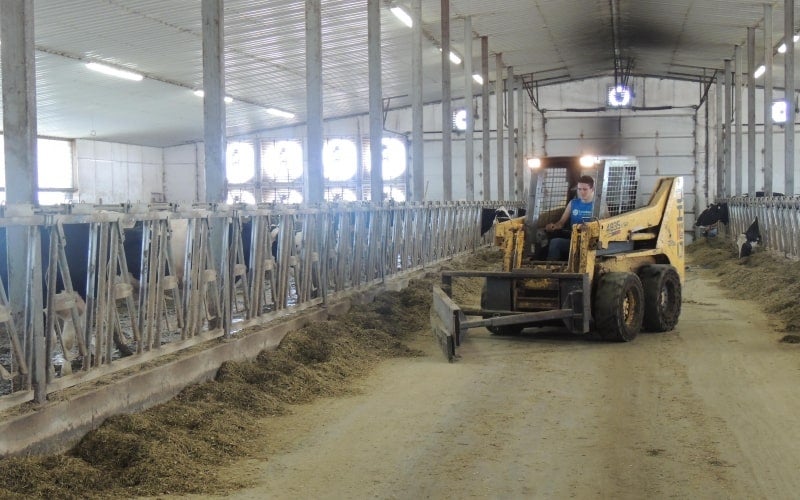 Member Builds a Diversified Dairy Operation | National FFA Organization