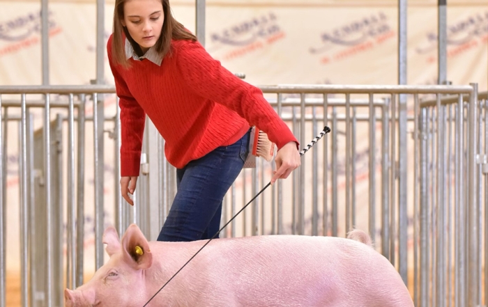 Lexington FFA Poultry Evaluation Team – Lexington Public Schools