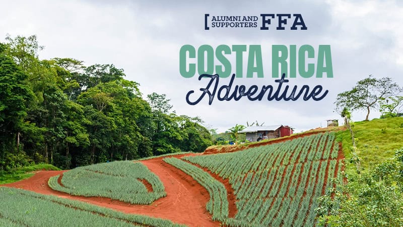 Costa Rico Adventure - Web - 800x450