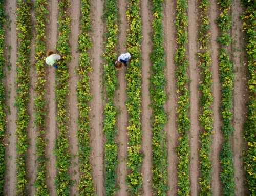 The Story of Ag Is Being Told in “From the Heartland”