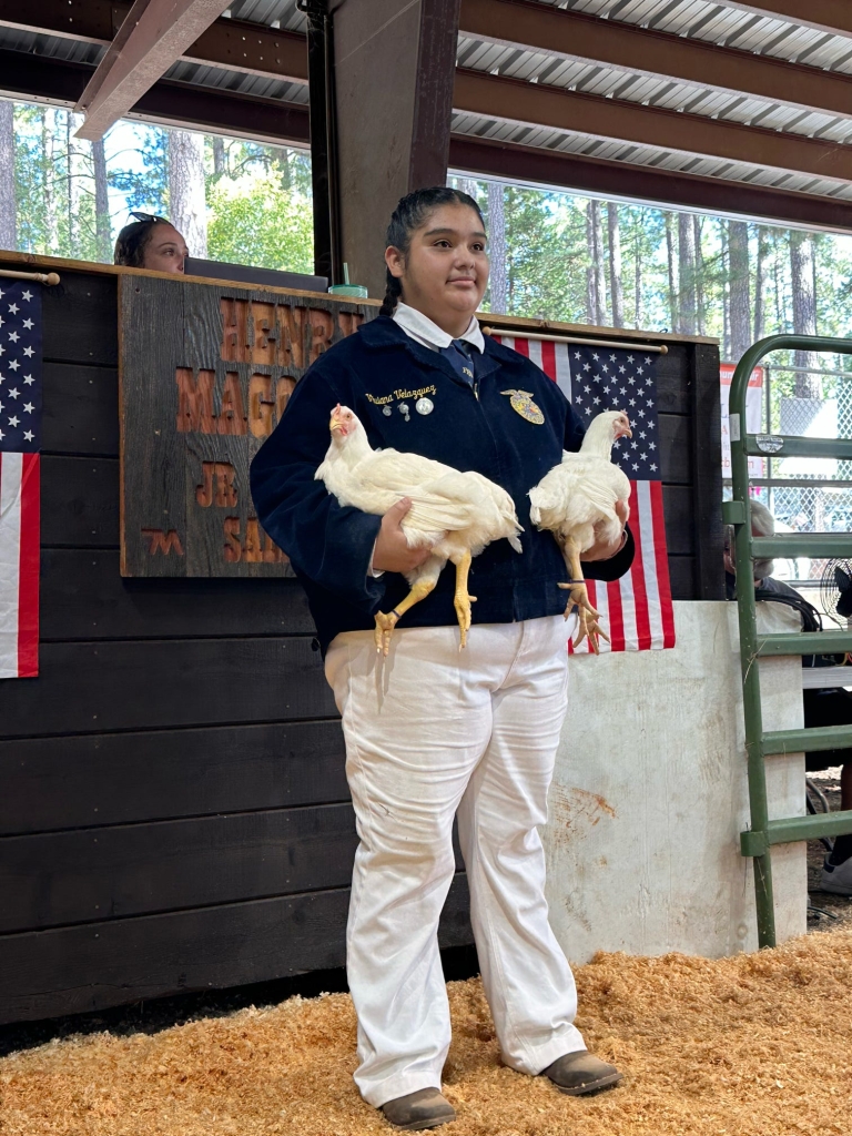 Viviana Velazquez in the auction ring.