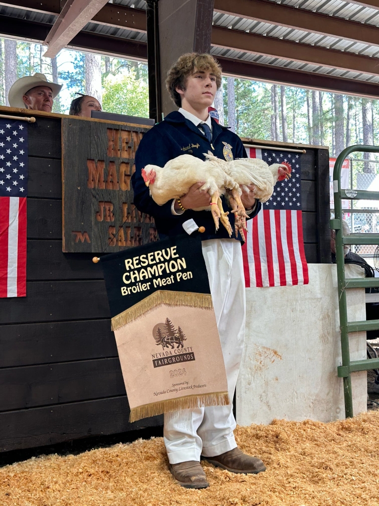 Richie Boyk in the auction ring.