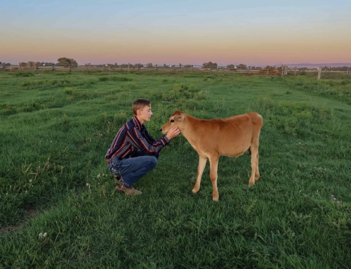 From Grandpa’s Pasture to an SAE Project