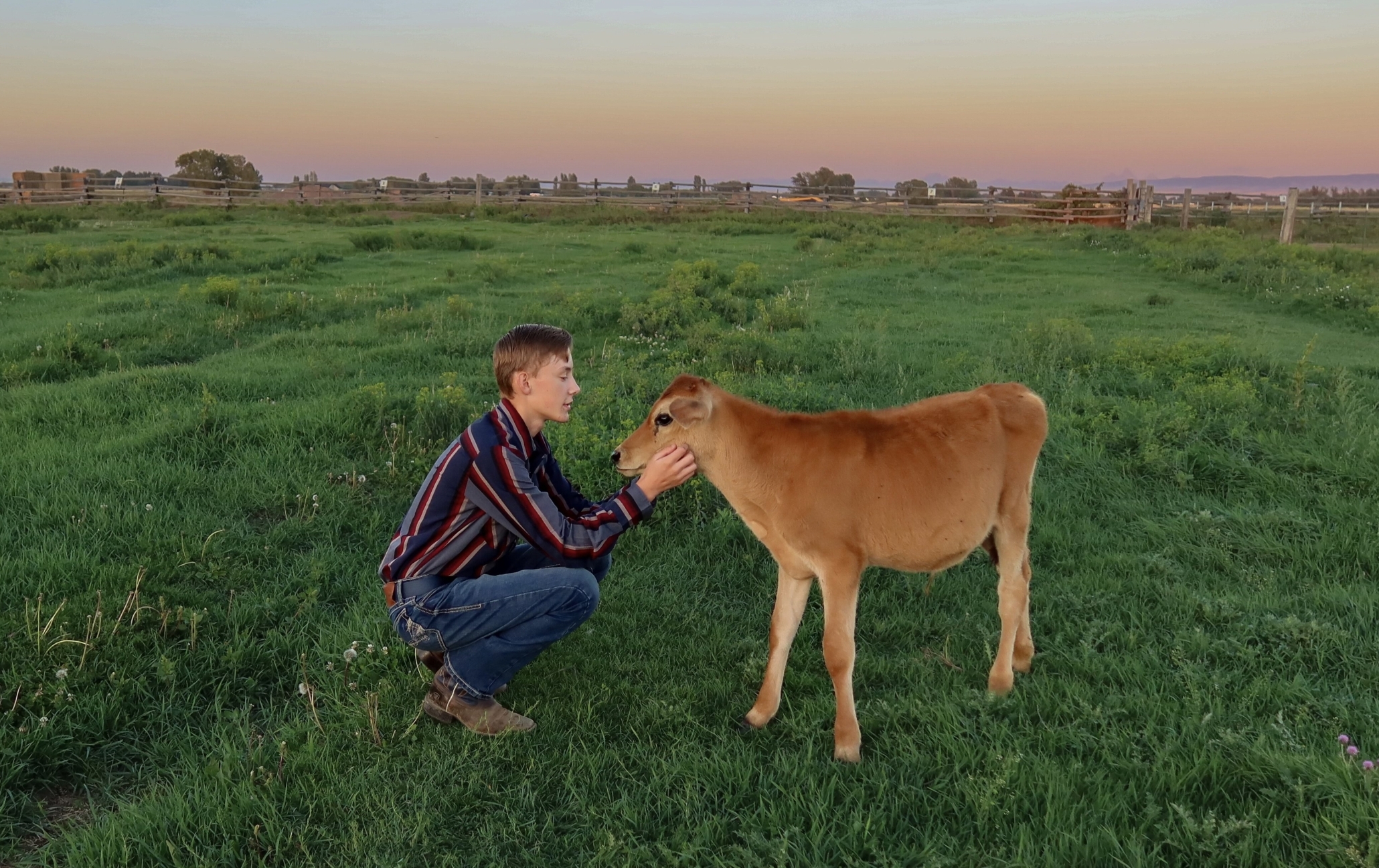 Carter Moore with one of his current calves, Woody.