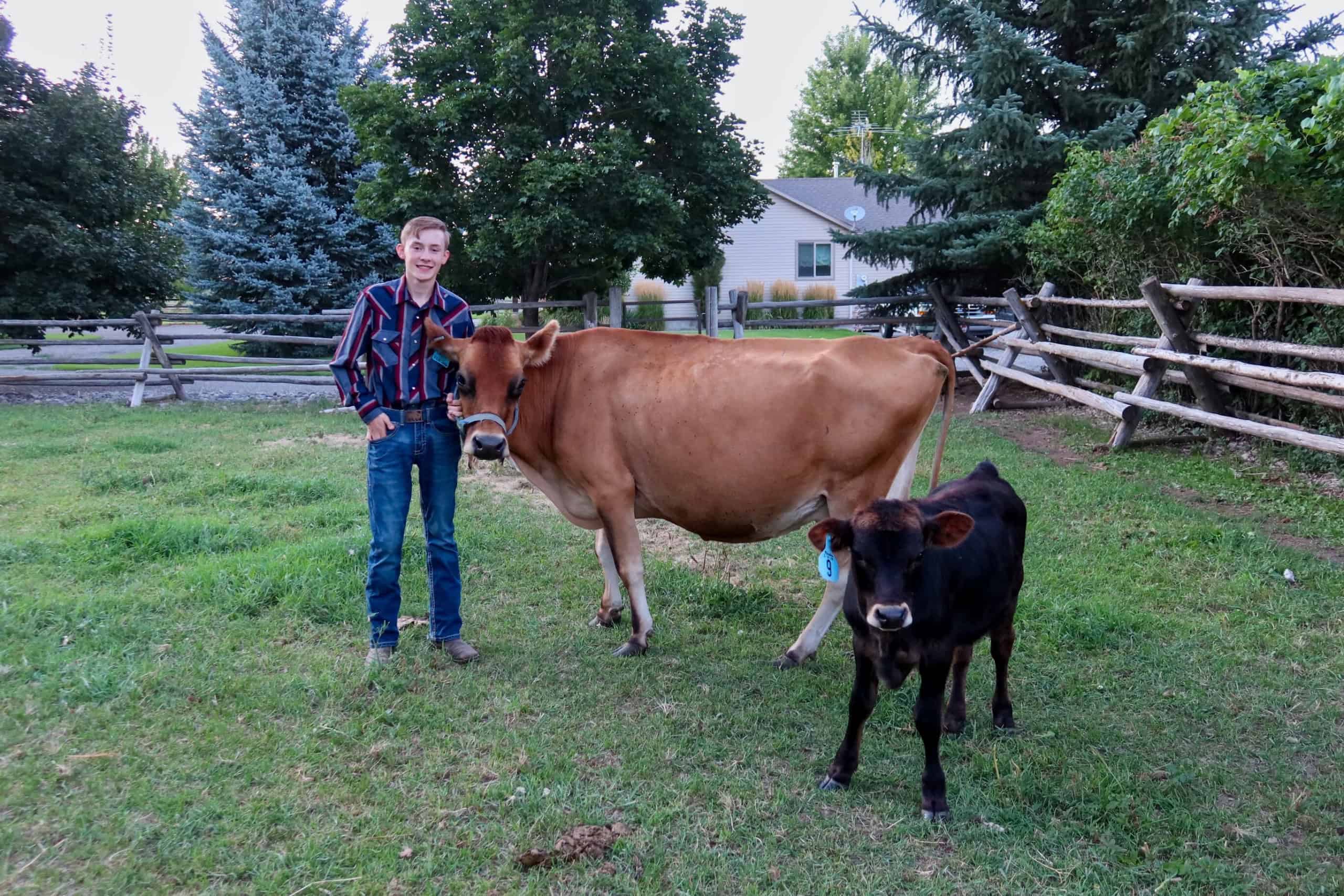 Carter Moore with his first cow, Penelope, and her calf, Phineas.