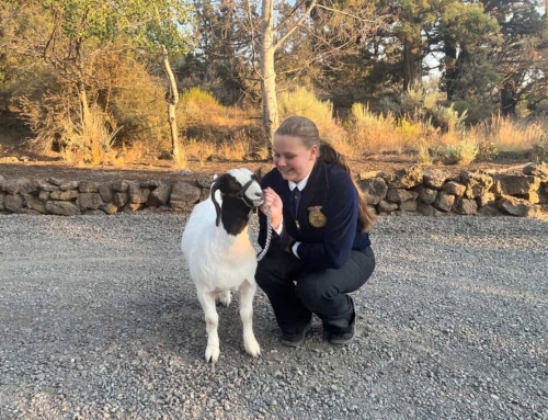 Goats Meet Greatness for This Oregon FFA Member