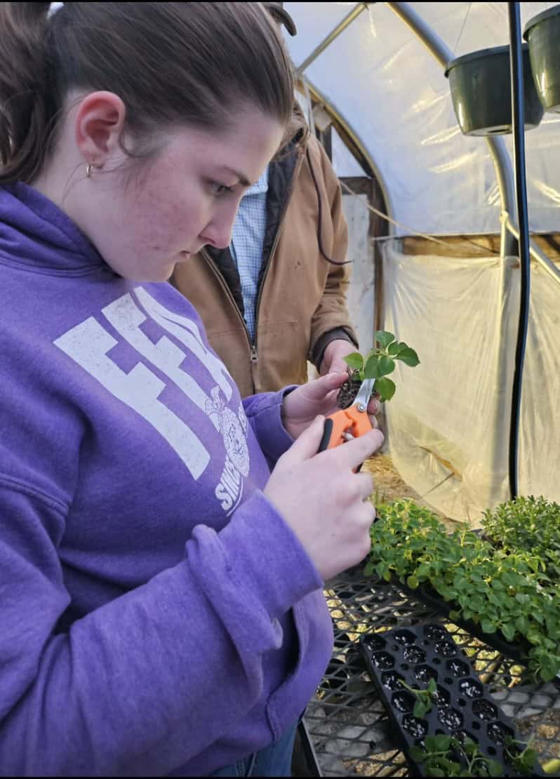 Chaliff was announced as a national finalist for her work in the nursery and landscape proficiency area.