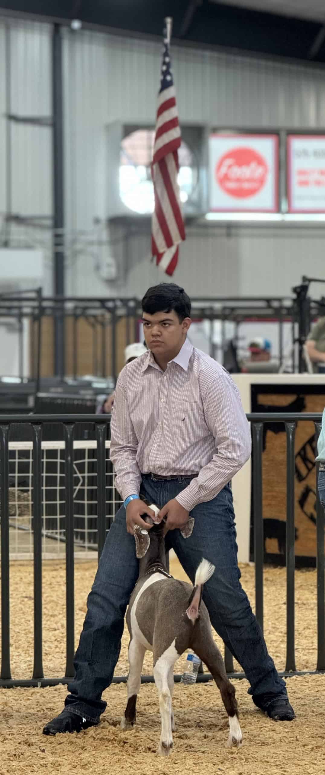 Isaac Corral shows one of the goats he raised at the Curry County Fair.