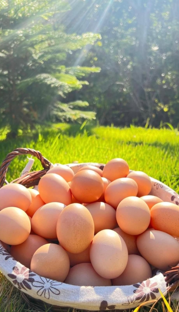 Eggs from GABY’S EGGS FARM. 