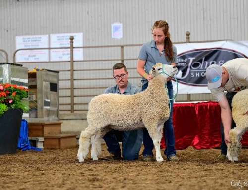 Ohio FFA Member Shows Nationally While Sticking to Her Roots