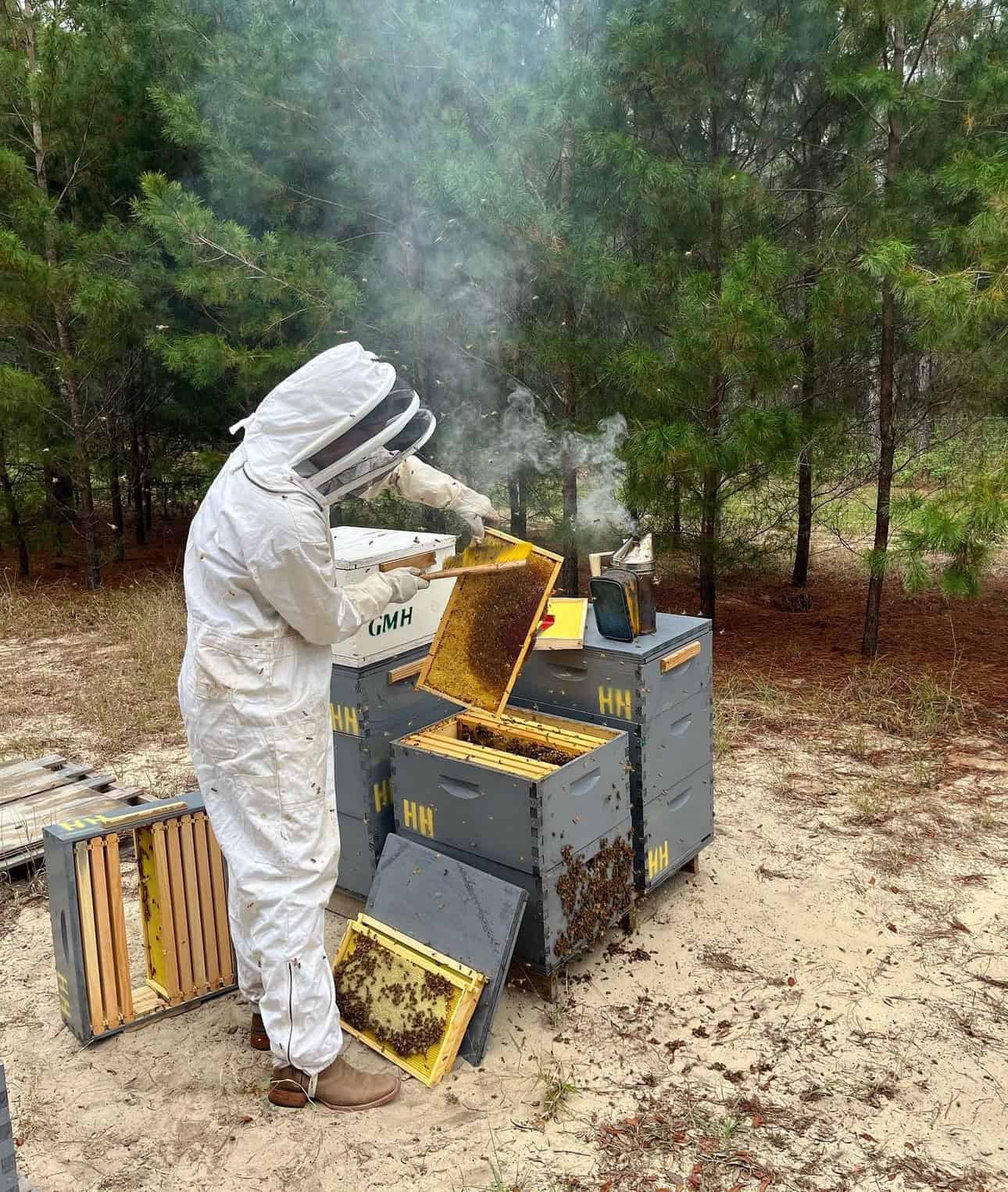 Madison Strain attending to her beehives.