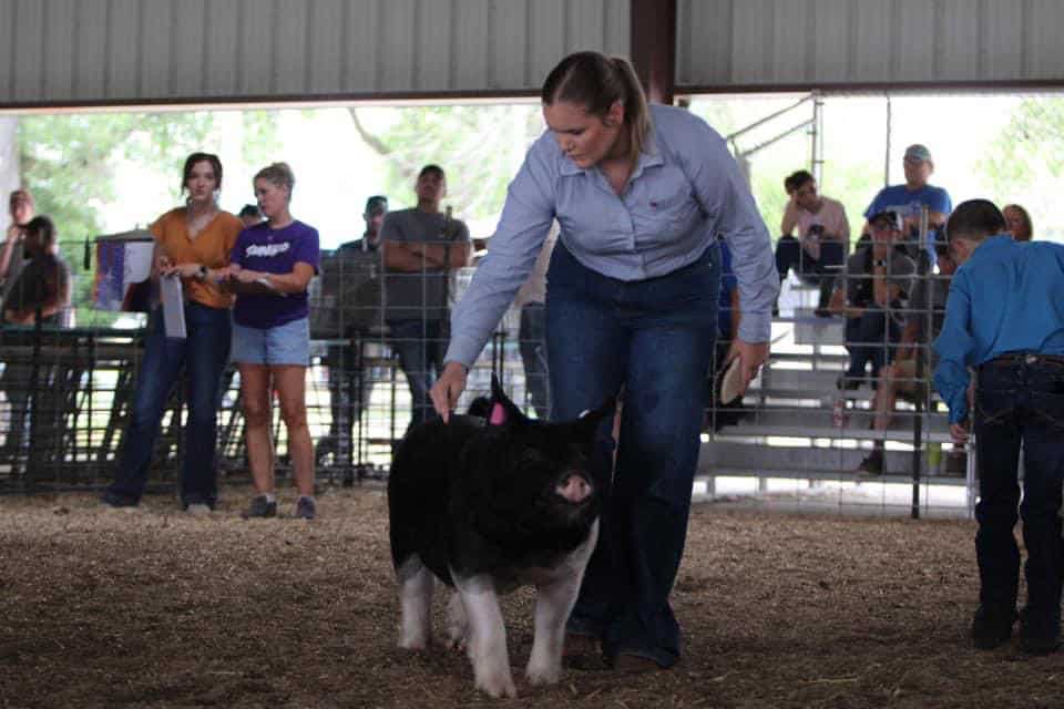 Sierra Payne shows her market gilt at the Jasper County Jackpot Show.