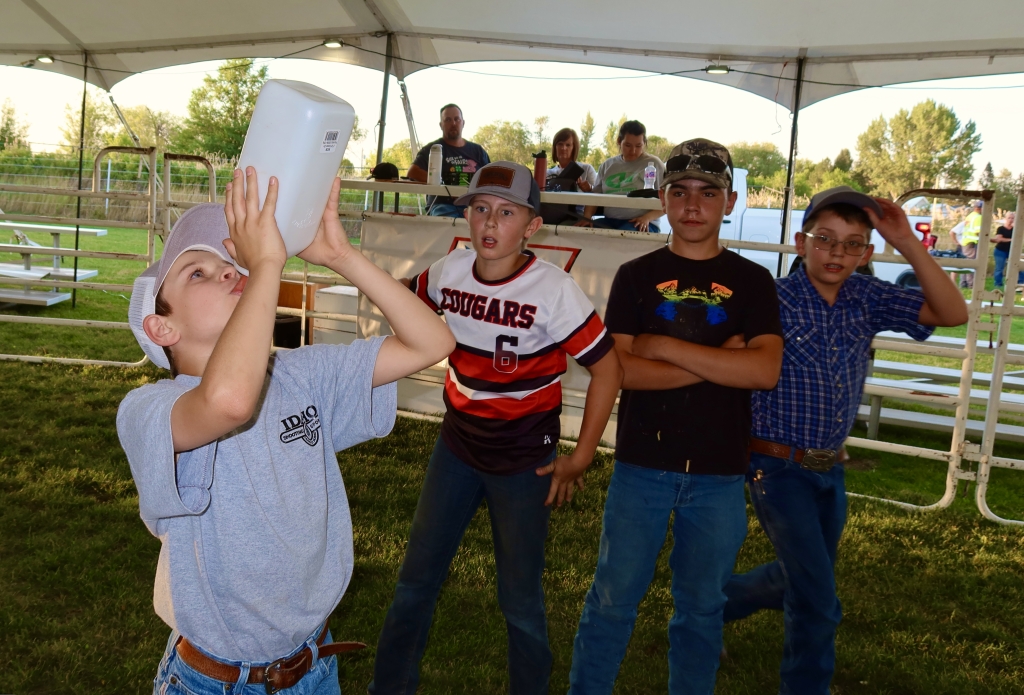 Some of the competitors chug milk from calf bottles to win the race.