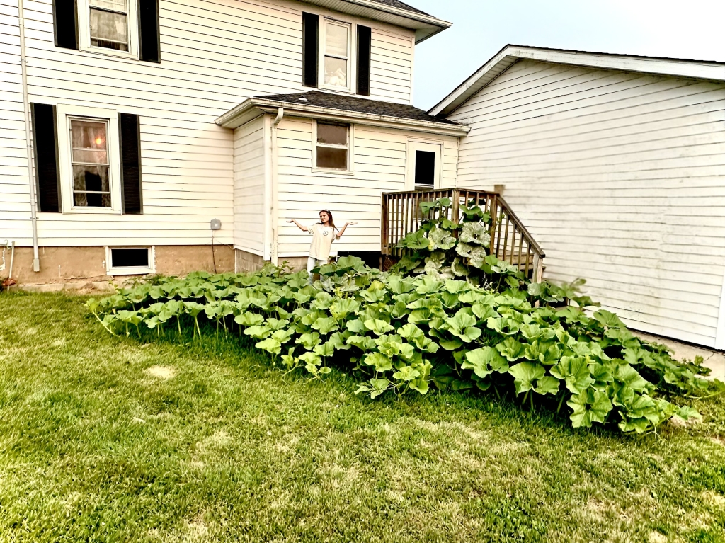 Hipkins poses with her pumpkin patch during the summer of 2024.