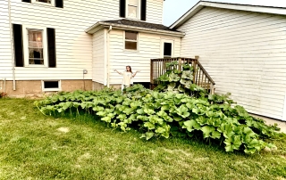 Hipkins poses with her pumpkin patch summer 2024