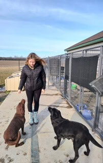 Kami Kile demonstrates her love for animals by taking care of and training them at her job.