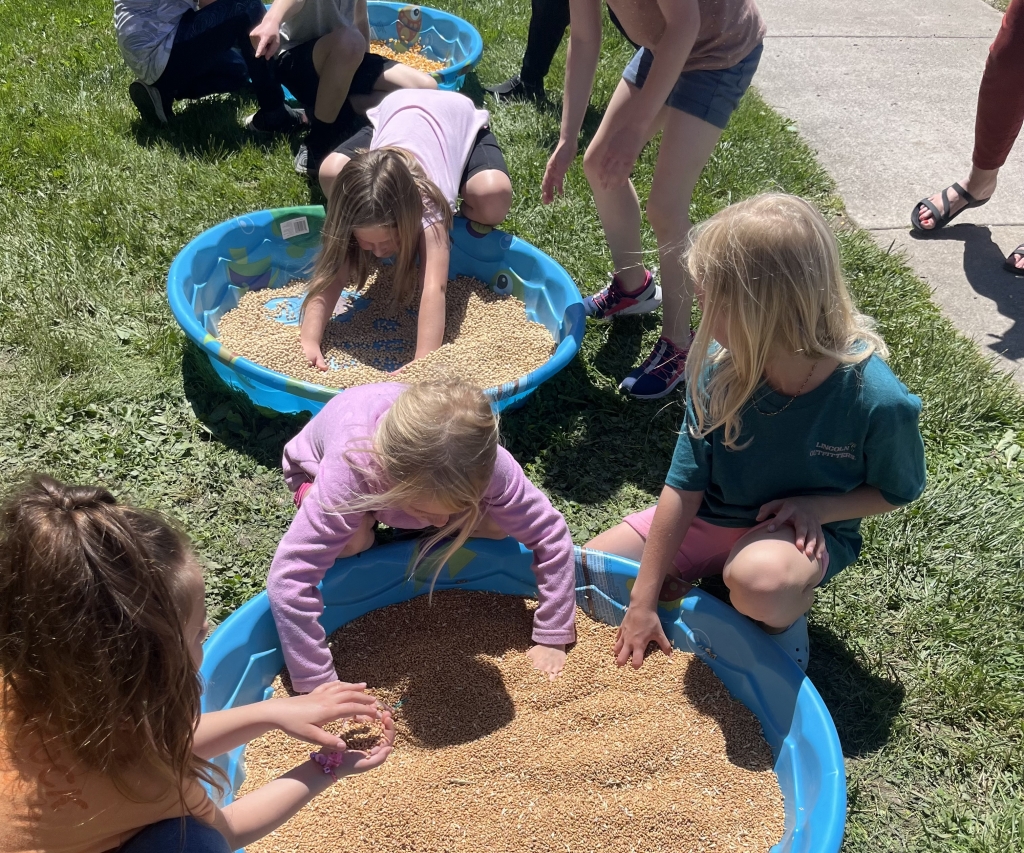 North Clay Elementary students playing in the grain pools.