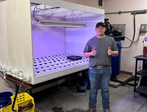 Reviving Tradition: Hydroponics SAE Sprouts Into Success