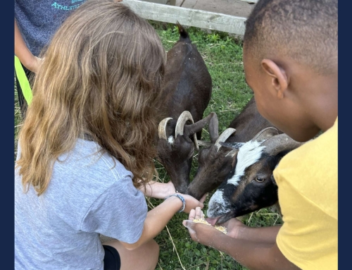 Chicago Ag Sciences FFA Alumna Leads the Charge in Agricultural Literacy