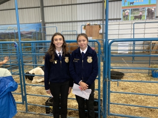 Members prepare to give reasons for livestock judging.