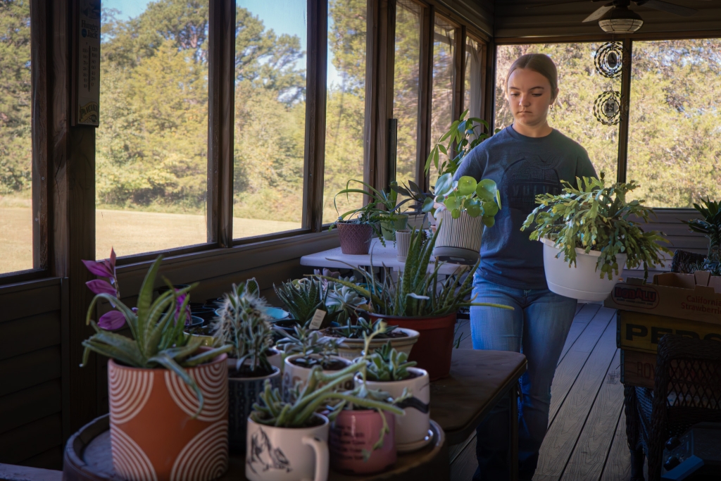 Spence organizing her succulents and preparing for an upcoming sale.