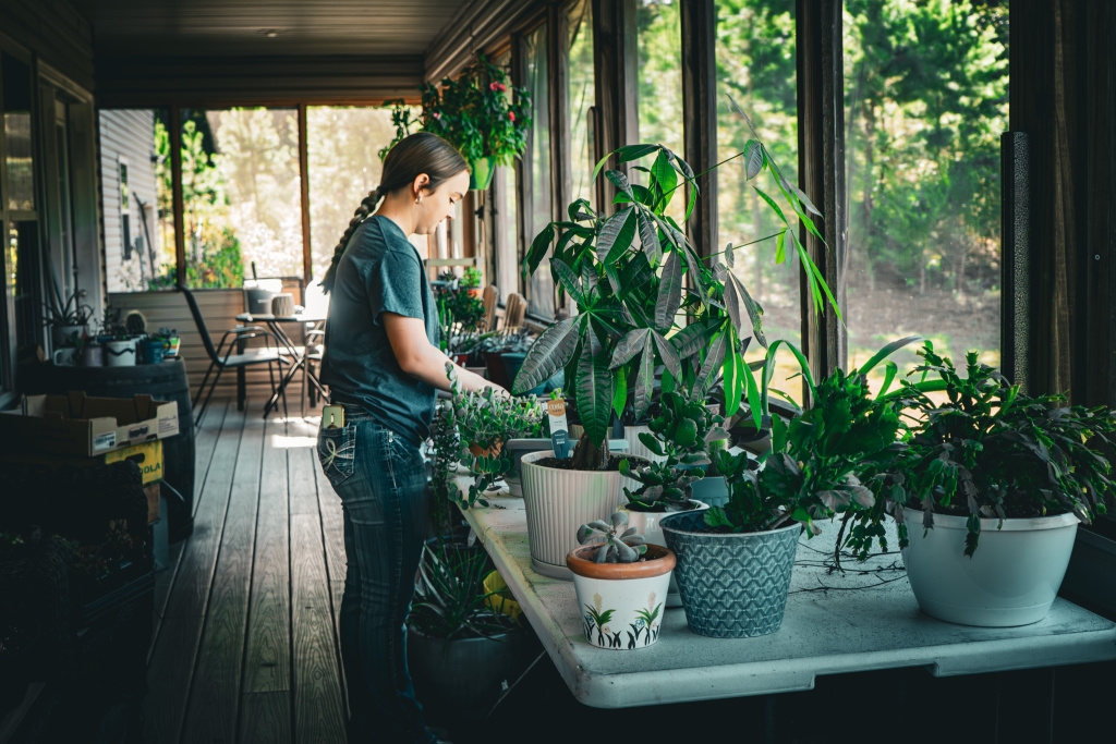 Featured member Katy Spence with her succulent supply.