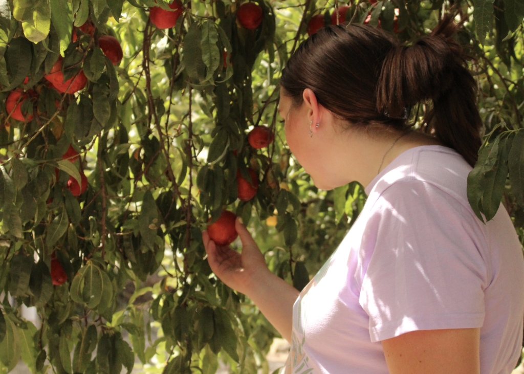 Morgan Darrow checks out the orchard.