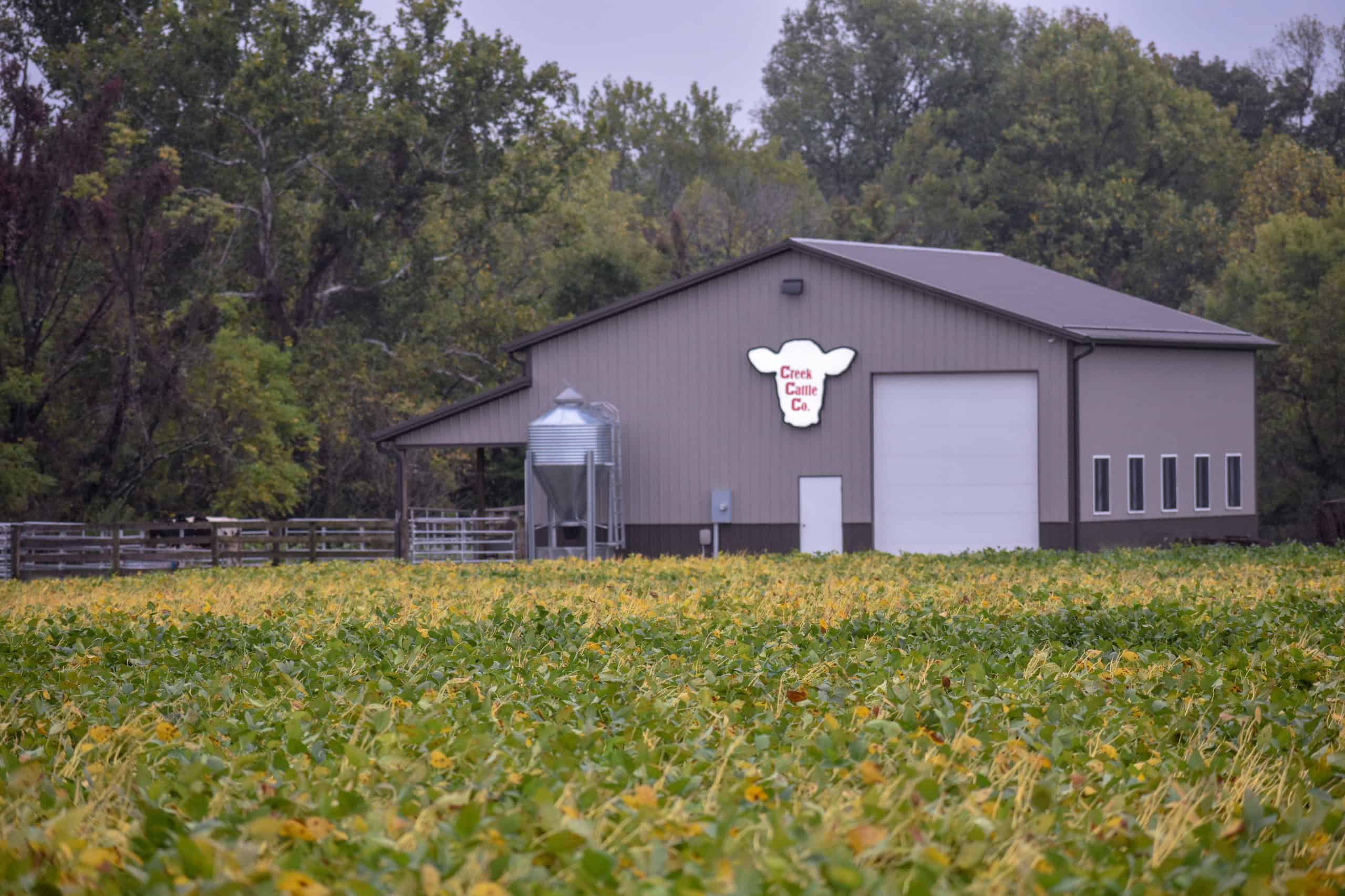 Creek Cattle Company sits on a plot behind the school. 