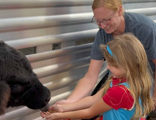 Why Are Creekside Junior High Students So Involved In FFA?