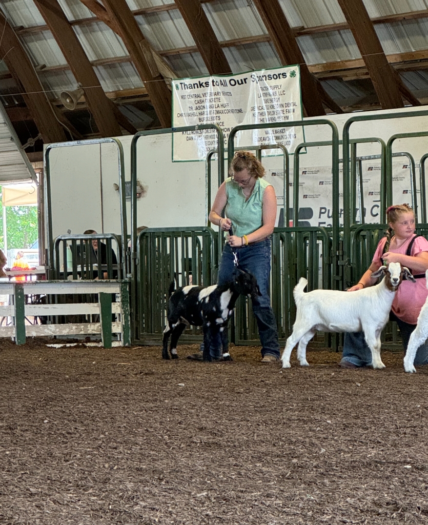 Kenady Lawson shows one of her goats at the Putnam County Fair.