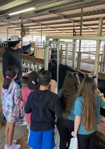 Station leader Fabian Cardenas leads third graders through the beef cattle station.