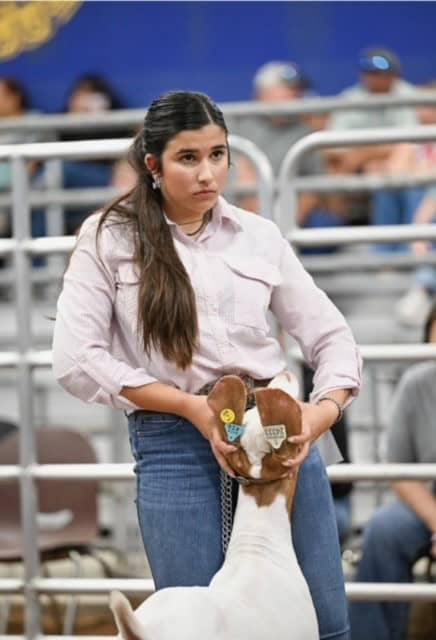 Ana Garcia shows her goat project at the Pearland Expo. 