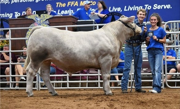 FFA member Owen Gray shows his animal project at the Pearland Expo. 