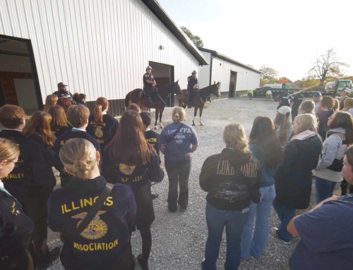 Combining Animal Care and Law Enforcement