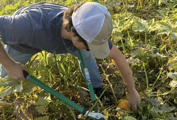 Brighton FFA in Tennessee hosts more than 1,200 students from seven different schools at their annual Pumpkin Patch.