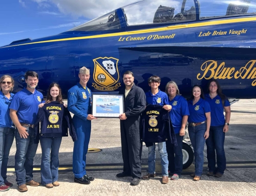 Taking Flight With the Blue Angels