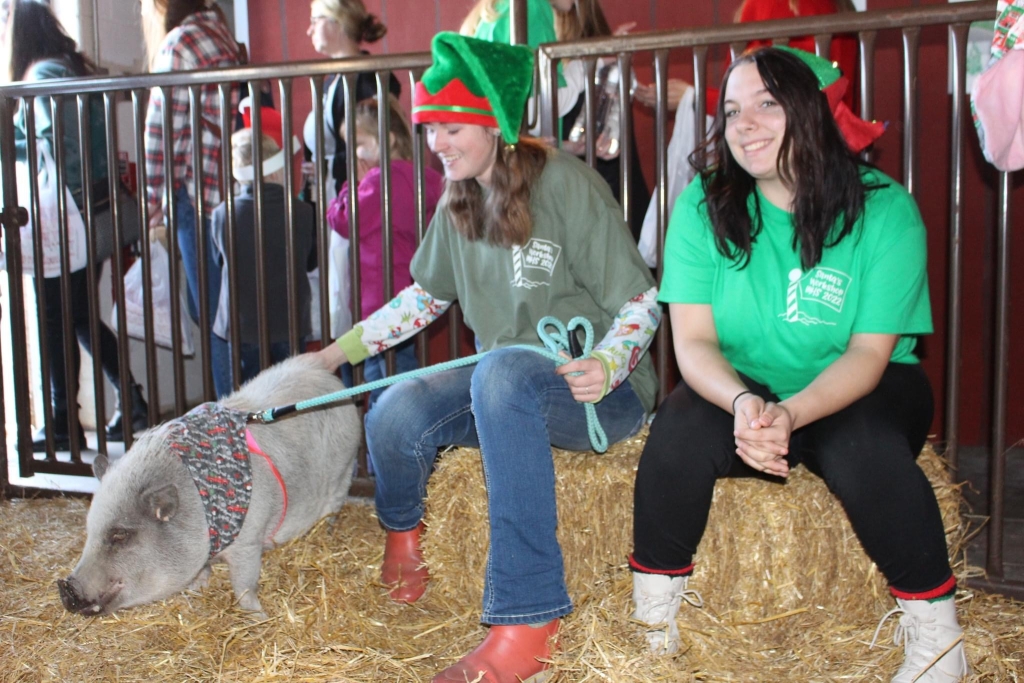 FFA Members Zoie Gray and Tabitha Lenhart work to introduce students to different species of animals in the petting zoo.