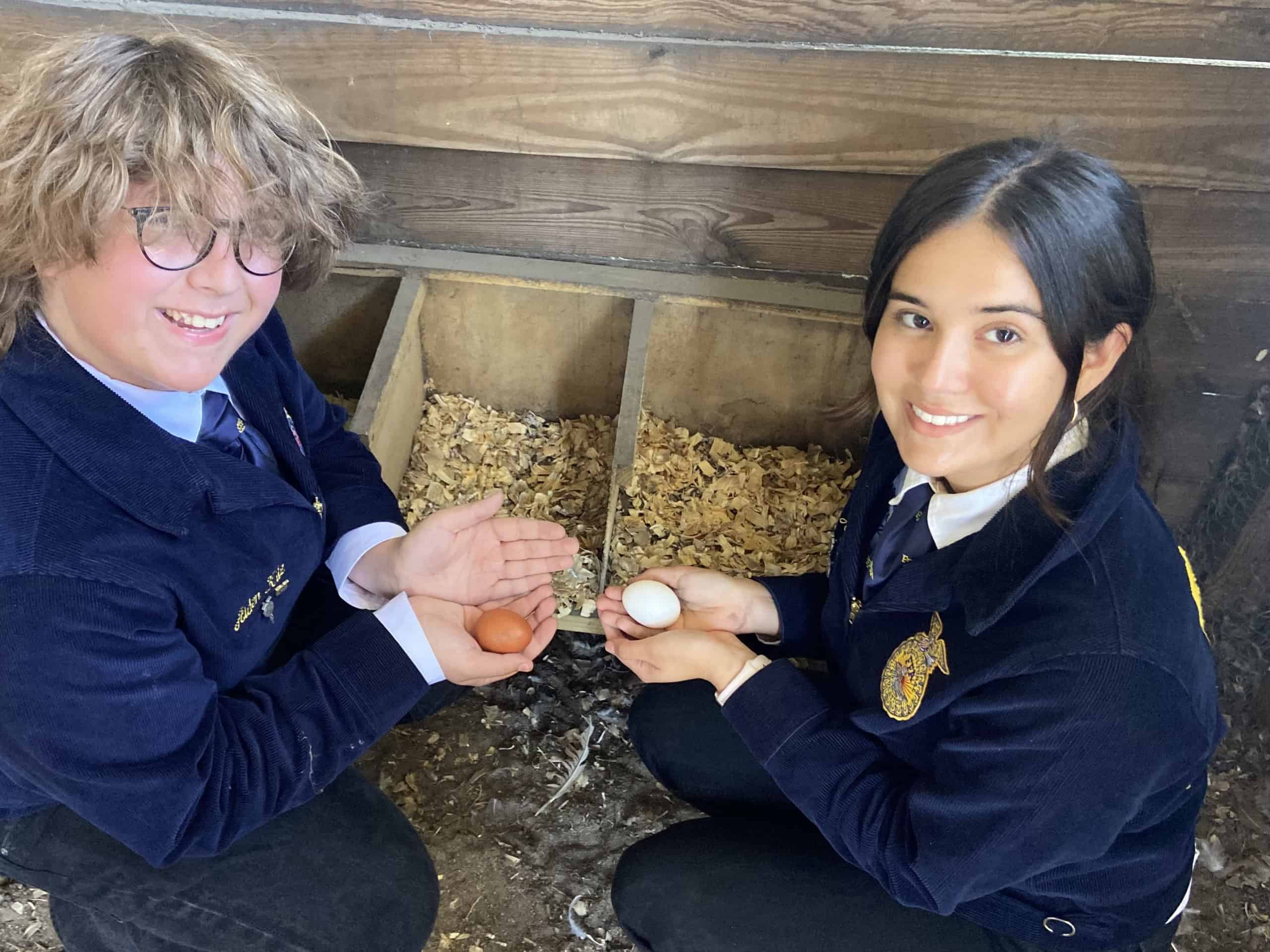 Chapter Reporter and Student Advisor, Kacey and Aiden, collect eggs.