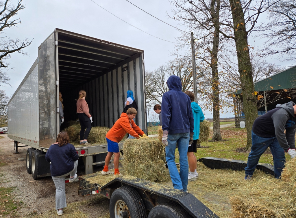 Members of the Pontiac FFA Chapter load up one of the semi-trailer trucks with hay bales.