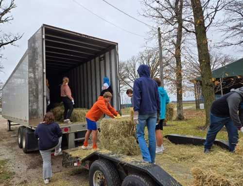 Bales of Hope