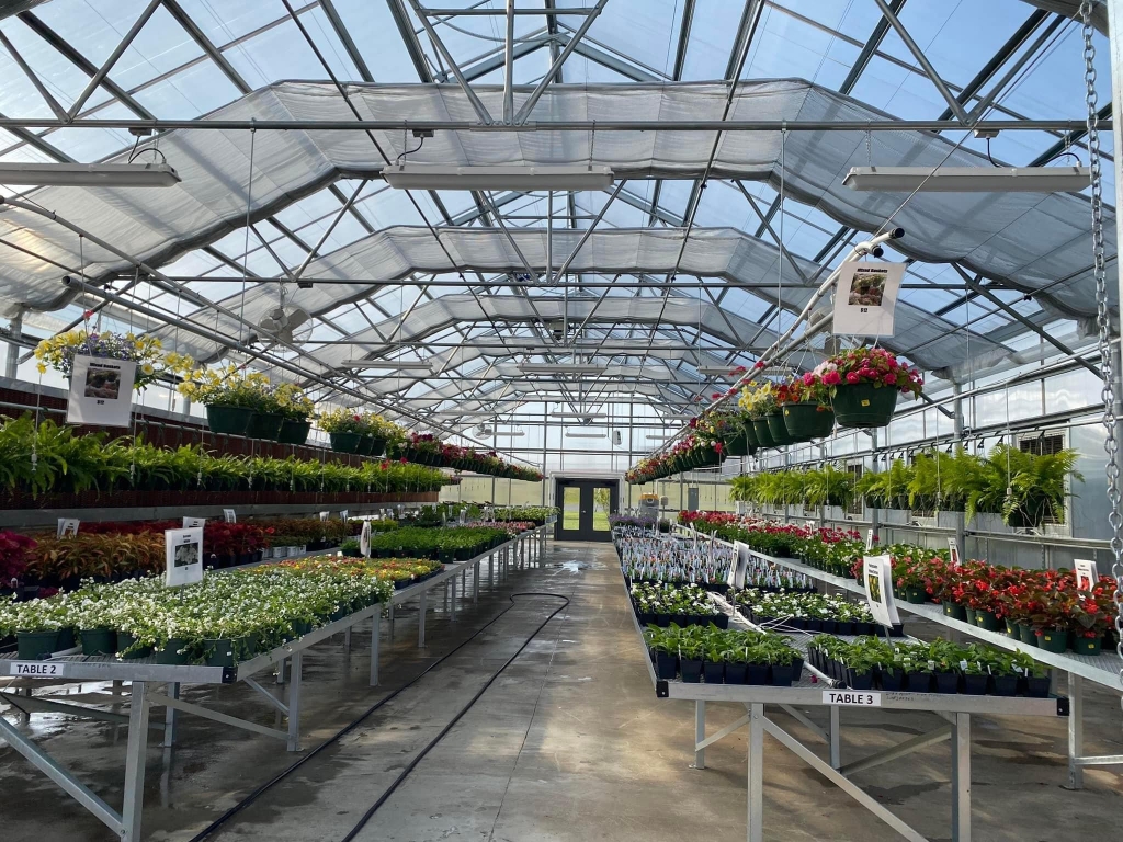 Greenhouse volunteers help with the upkeep and beauty of Dyer County High School’s flower beds.