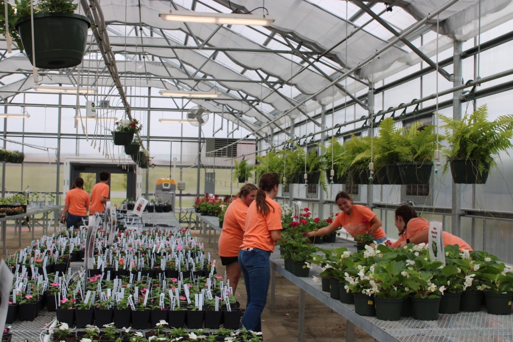 Dyer County High School students volunteer in the school's greenhouse.