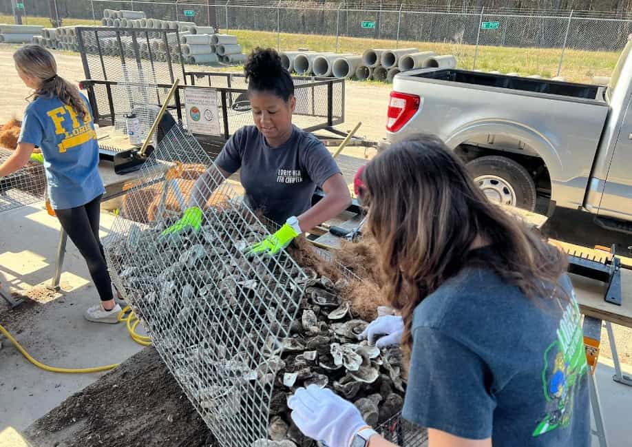 Loris FFA members working on the manufactured wire reefs.