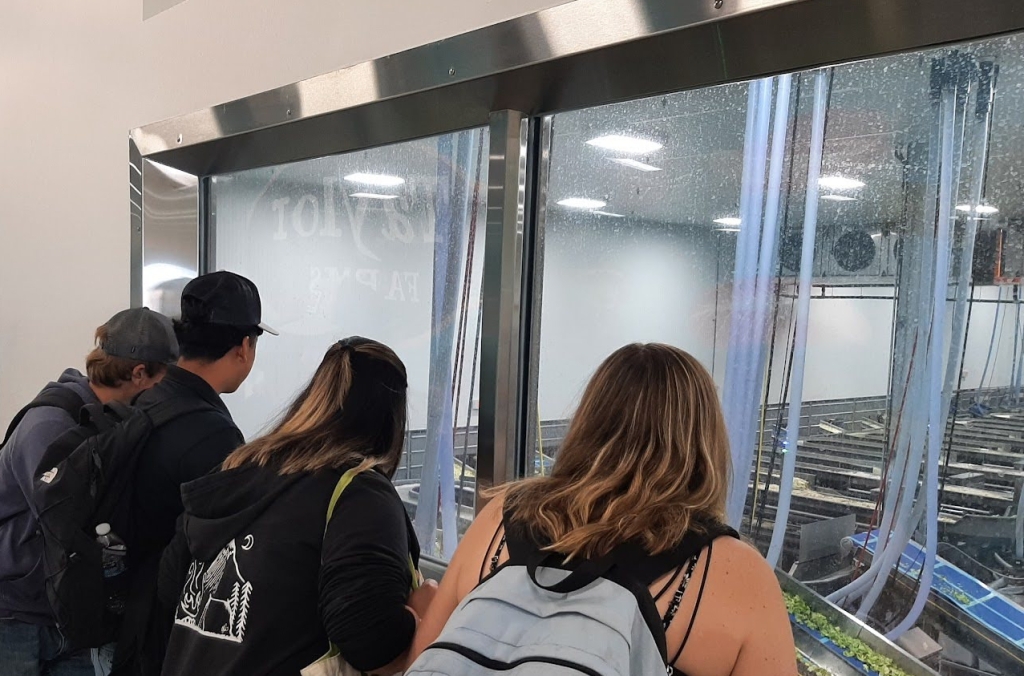 Salinas FFA members observe the washing room.