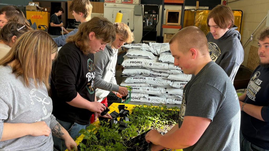 Knoxville FFA members transplanting vegetables for Seeds of Honor.