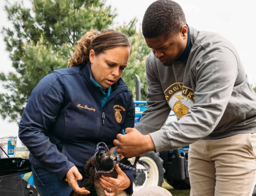 Quiz: Careers in Agriculture