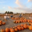 The Pumpkin Patch on Opening Day