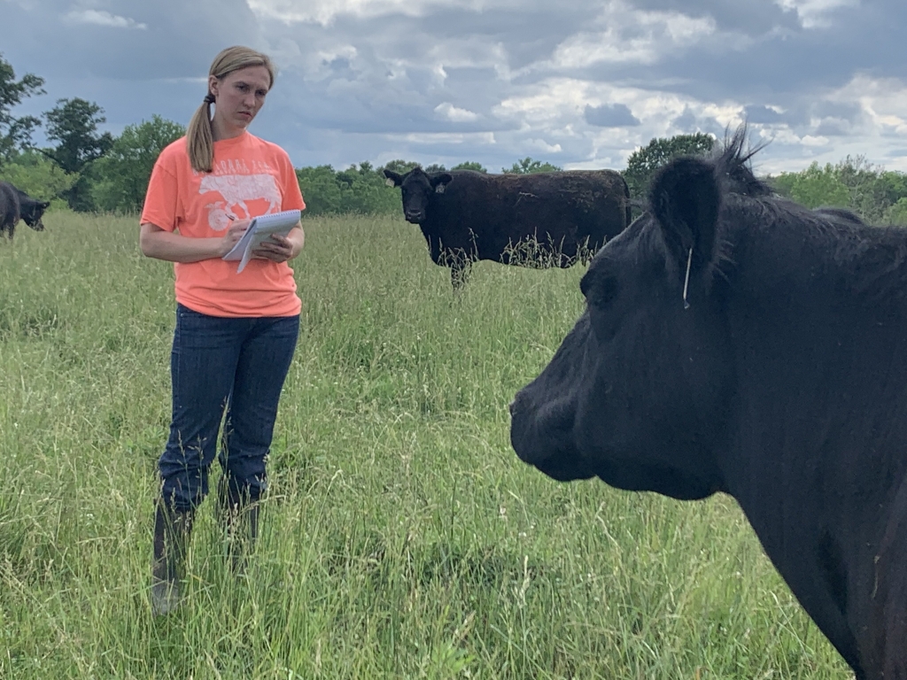 The 2024 American Star in Agriscience Lizzie Schafer’s background in beef production inspired many of her FFA research projects.