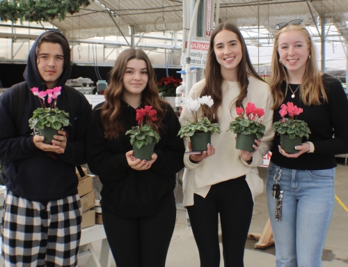 Tioga’s FFA–ntastic Poinsettias